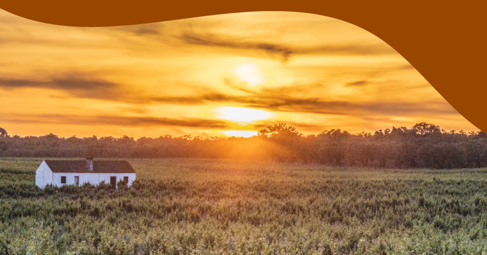 Sessões de informação e sensibilização com vista ao envolvimento da população no Poceirão e em Águas de Moura  (OIL-PRR)