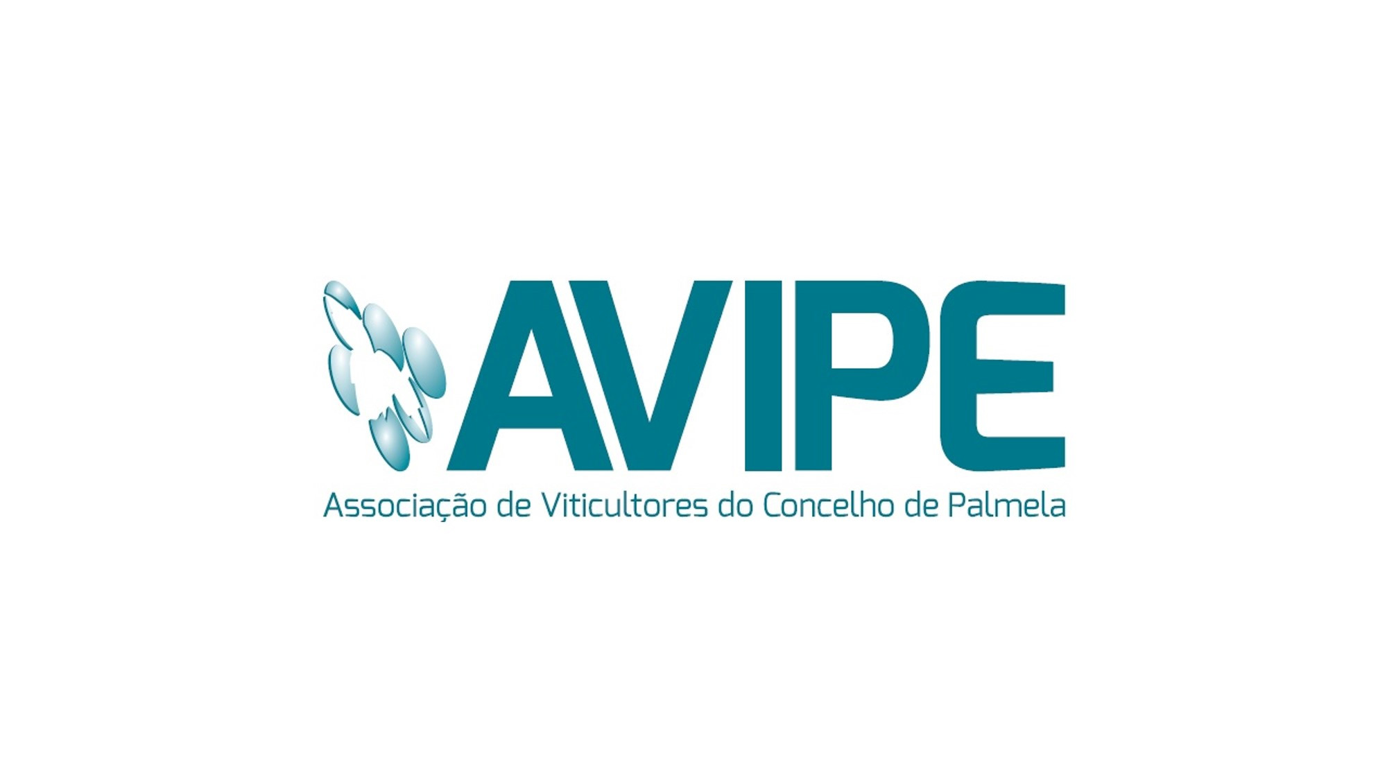 AVIPE promove Cursos de Formação