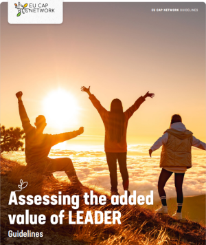 Como avaliar o valor acrescentado do LEADER?