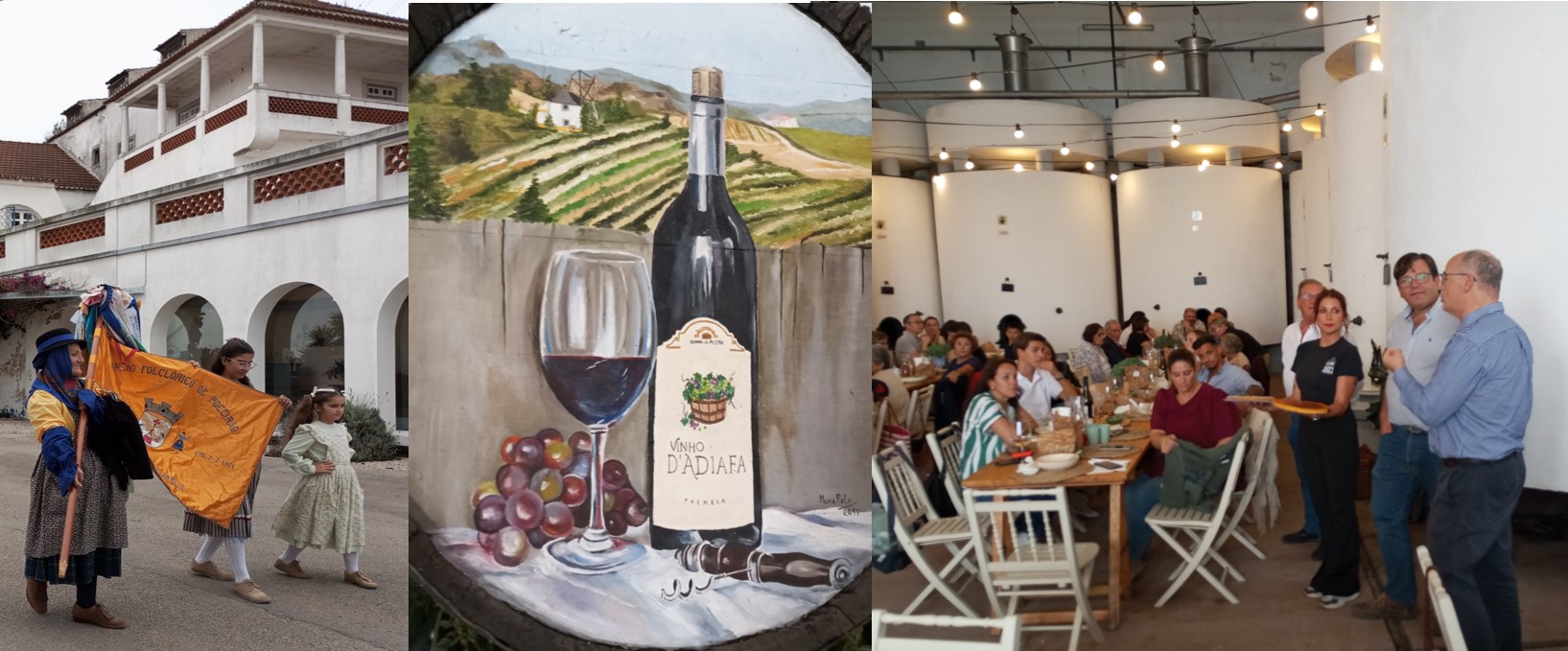 Enoturismo: adiafa na adega