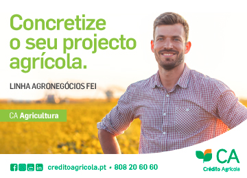 Linha Agronegócios – FEI