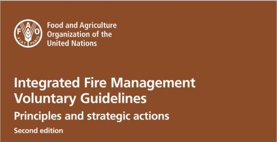 FAO lança diretrizes para combater os incêndios florestais extremos