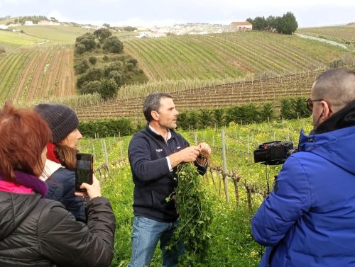 ADREPES dinamiza ação de capacitação em agricultura regenerativa