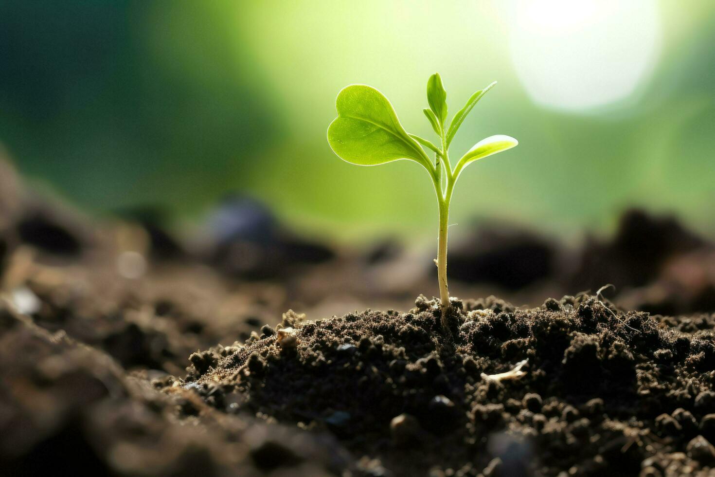 ADREPES organiza visita técnica sobre agricultura regenerativa e alimentação saudável