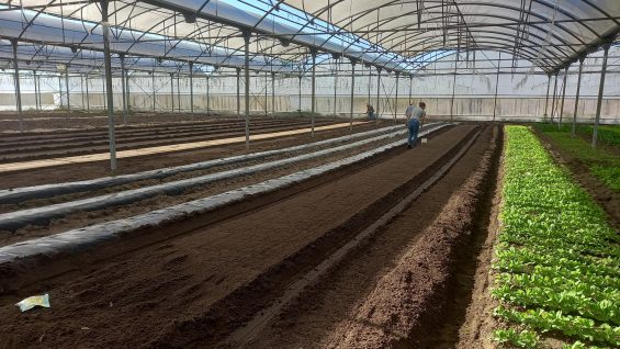 ADREPES implementa o Sistema Participativo de Garantia nos núcleos PROVE da Península de Setúbal