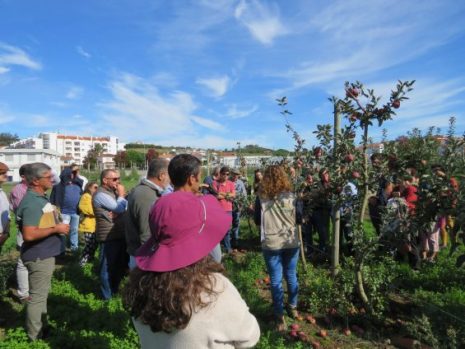 ADREPES participa em visita técnica à Estação Nacional de Fruticultura Vieira Natividade