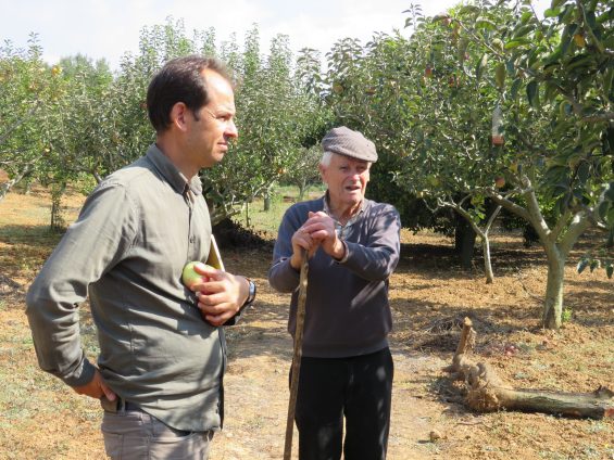 ADREPES realiza levantamento das explorações agrícolas de Maçã Camoesa em Sesimbra