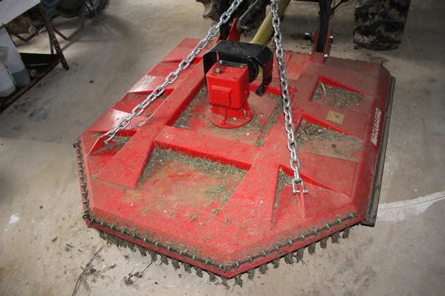 Instalação de Vinha