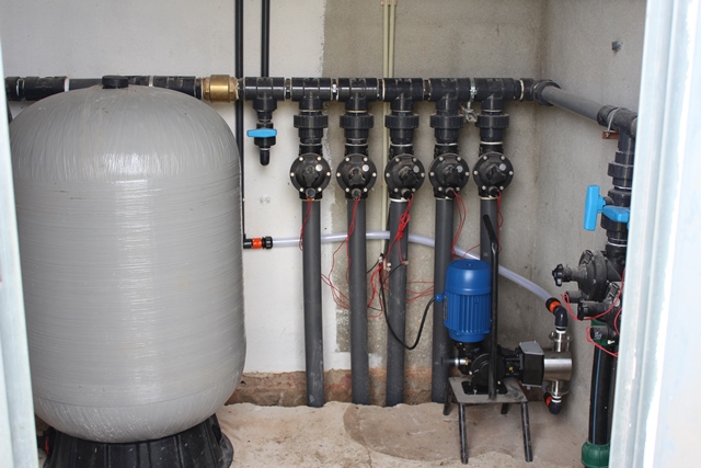 Instalação de uma vinha de uva de mesa