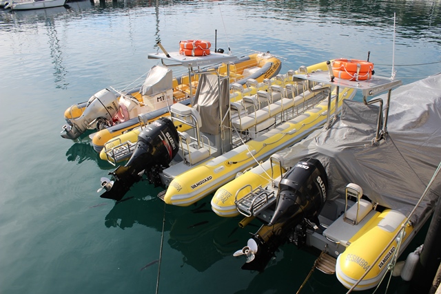 TURISMAR – Turismo Náutico e de Natureza