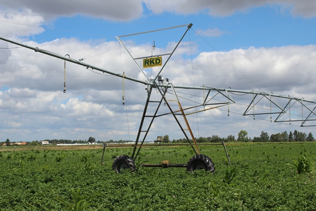 Instalação de rega na exploração agrícola