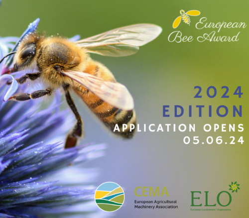 European Bee Award 2024