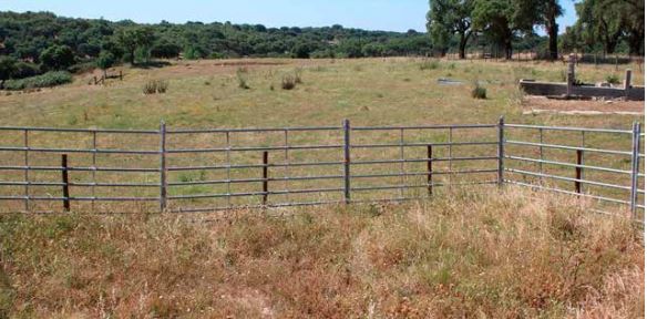 Península de Setúbal obtém reforço de 718 mil euros para projetos rurais