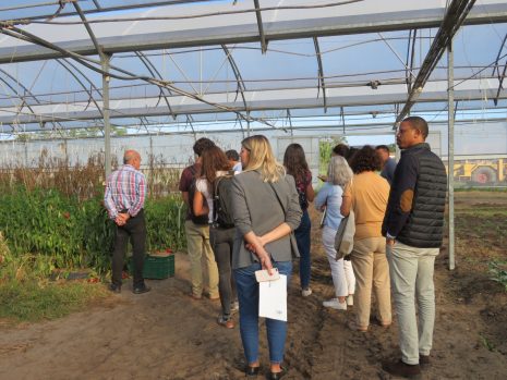 ADREPES recebe visita do Agroparque Terras da Costa e do Mar