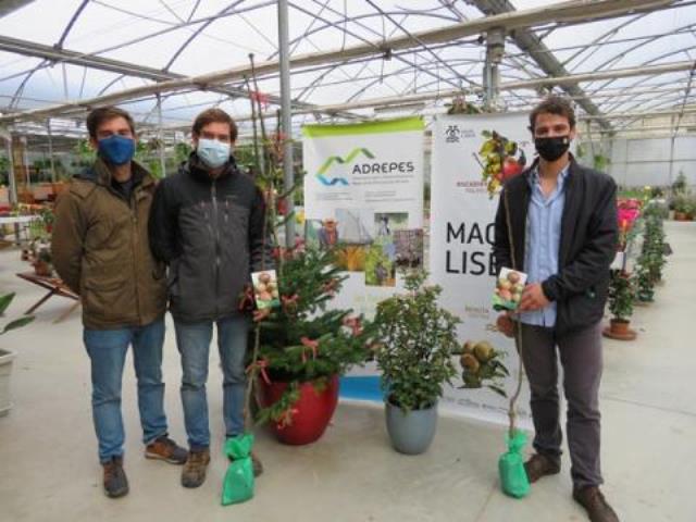 ADREPES ENTREGA PRÉMIO MACIEIRAS RISCADINHA DE PALMELA