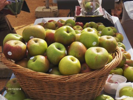 SESSÃO ESCLARECIMENTO – IX Mostra da Maça Camoesa, Doçaria e Pão 2021