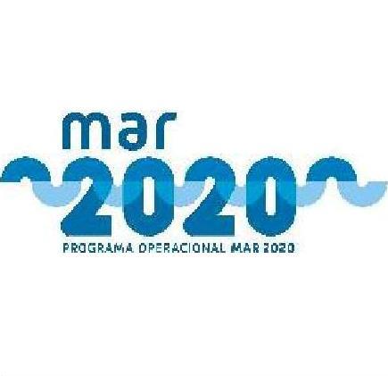 Anúncio de Abertura de Candidaturas N.º 41/2020 Apoios Específicos Inerentes ao Surto de COVID-19